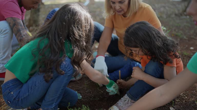 Trusted Meadow Oaks, FL Tree Care Services Experts